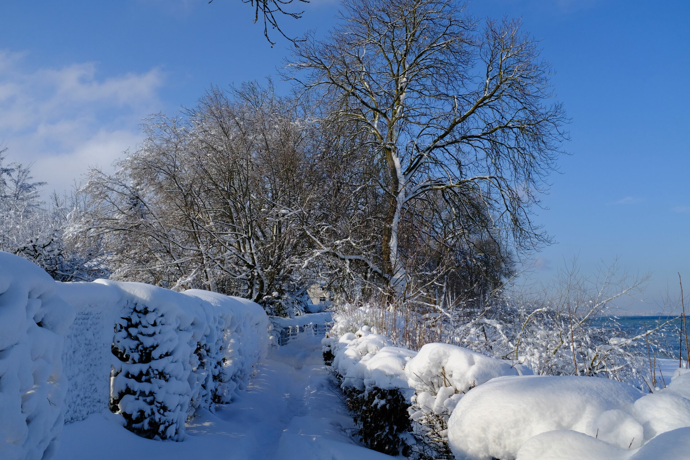 Bild mit Winter, Schnee, Bodensee, Wandern, Ufer