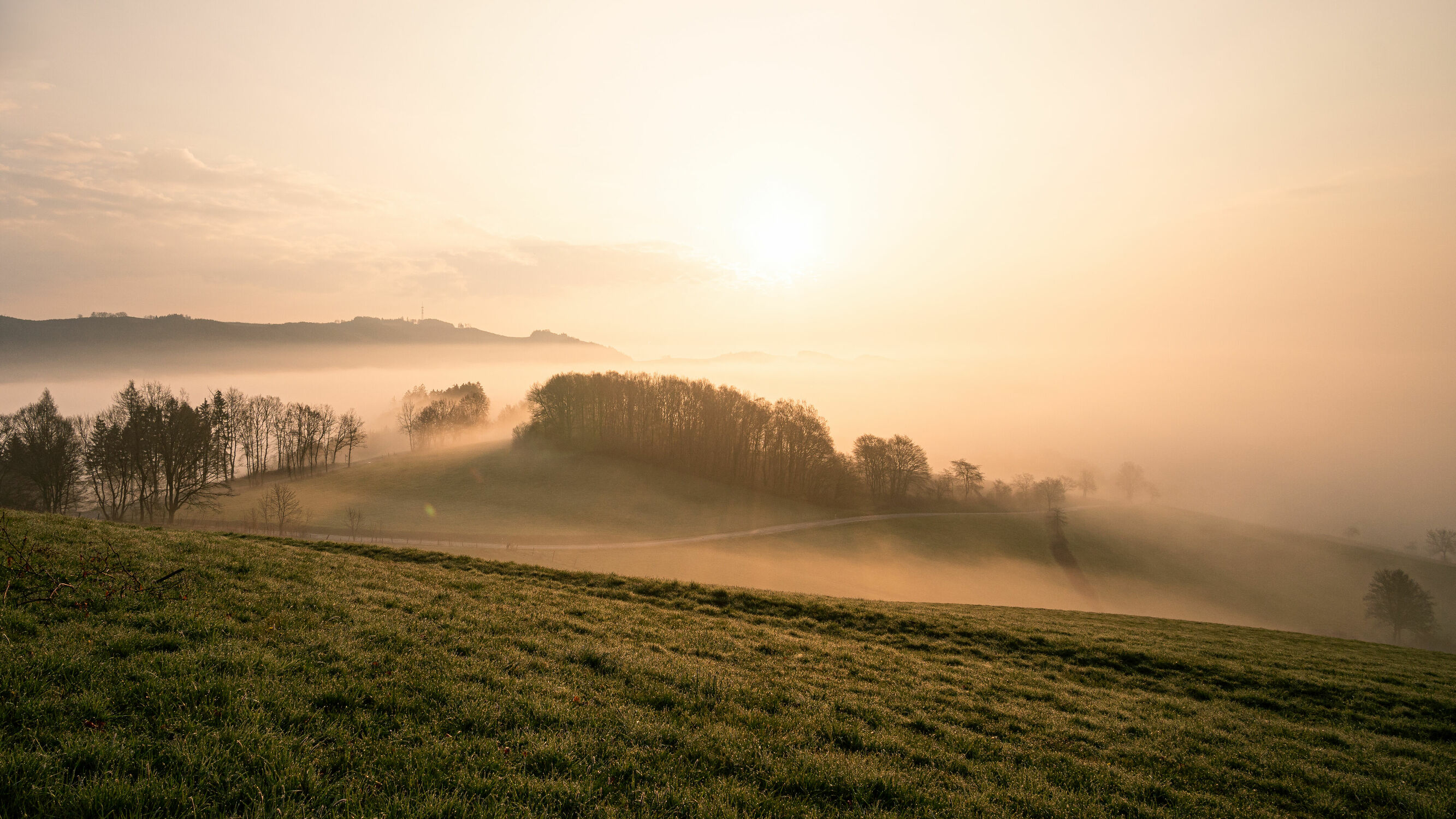 Bild mit Natur, Bäume, Nebel, Sonne, Landschaft, Sauerland