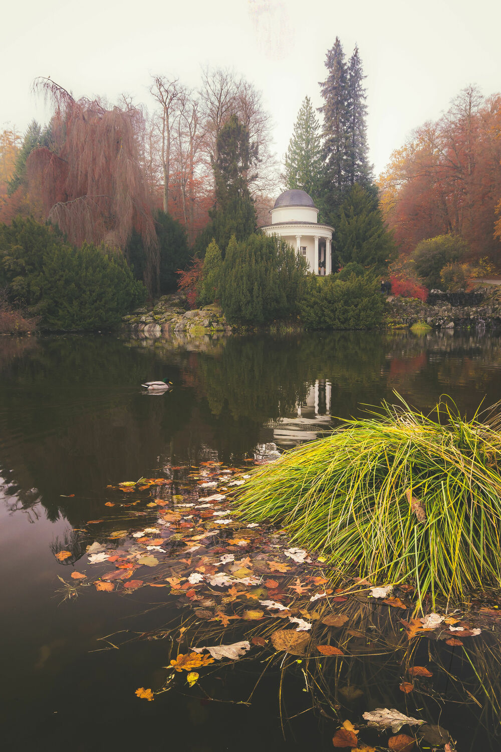 Bild mit Herbst, Ente im Wasser, Herbstblätter, Herbststimmung, herbstlich, Pavillon, Blätterdach, Herbstwald