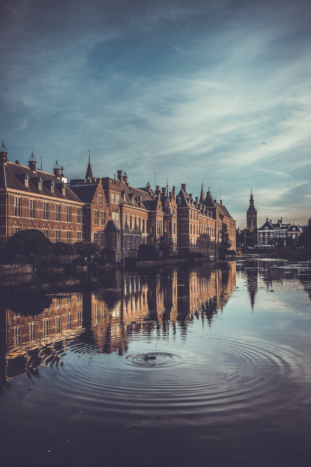 Bild mit Ente im Wasser, Altstadt, Wasserblick, Stadtansichten, Historische Gebäude, Schwimmente, Abendstimmung, Abendidylle, cityscape, Den Haag
