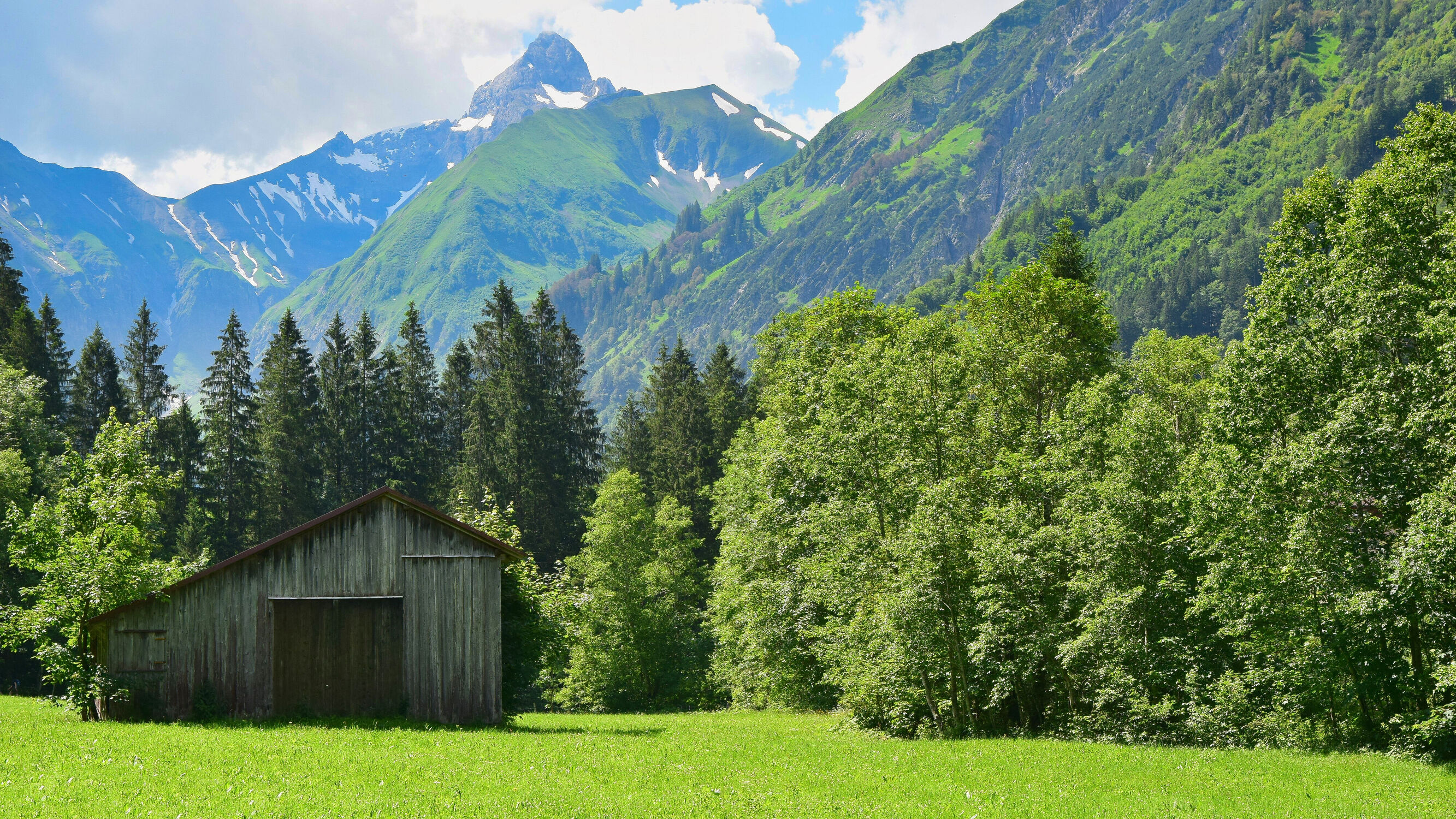 Bild mit Natur, Berge und Hügel, Urlaub, Tannen, Wiesengras, Hütte, Oberstdorf, Bergpanorama, Holzhäuschen