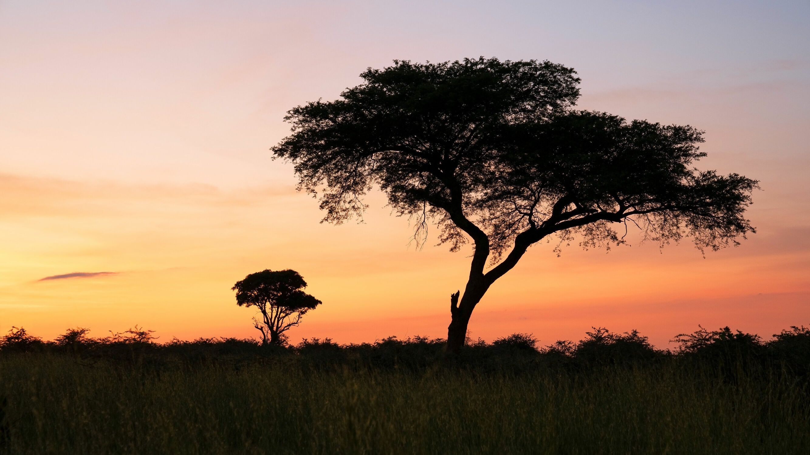 Bild mit Natur, Landschaften, Nationalparks, Sonnenaufgang, Dämmerung, Reisen, Naturlandschaften, Afrika, Morgenstimmung, Uganda