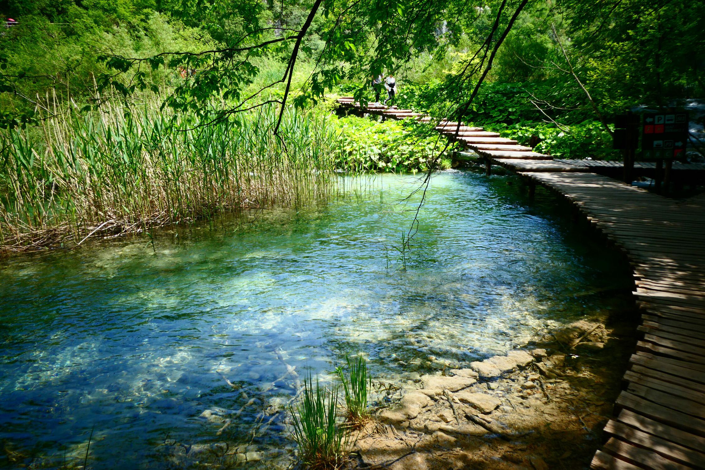 Bild mit Natur, Wasser, Weg, See, Brücke, Wasserfall, Ruhe, Nationalpark, pfad, kroatien