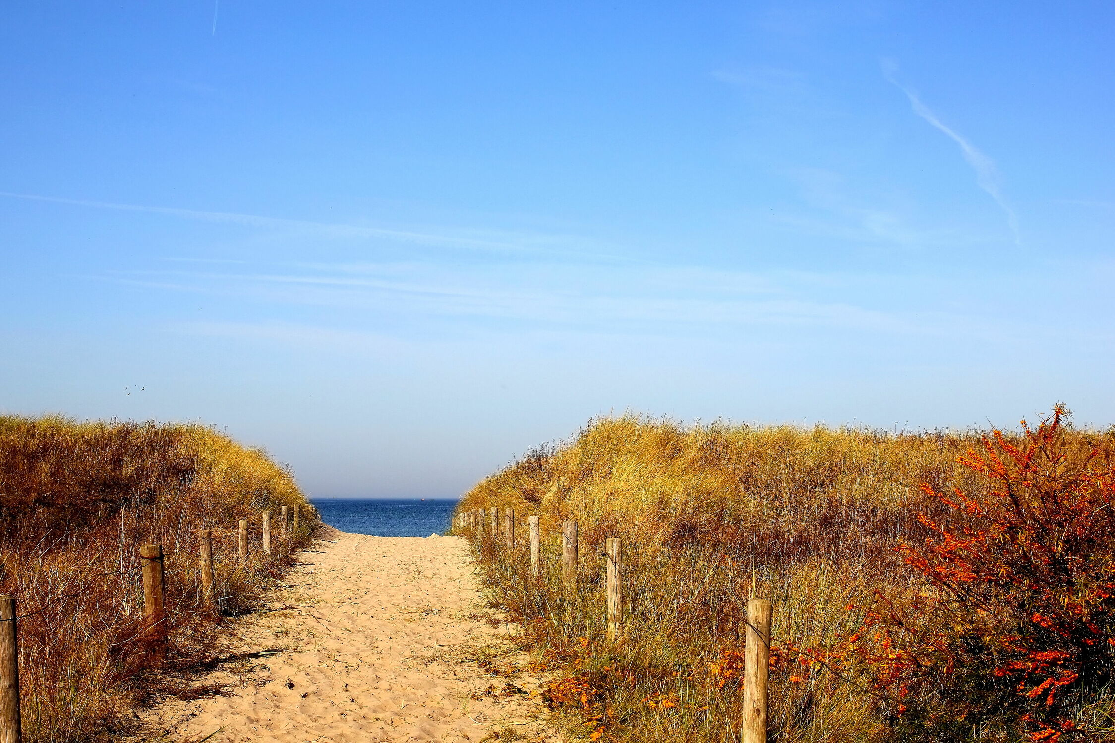 Bild mit Natur, Herbst, Strand, Ostsee, Meer, Küste, Erholung, Rügen, Norden, strandaufgang