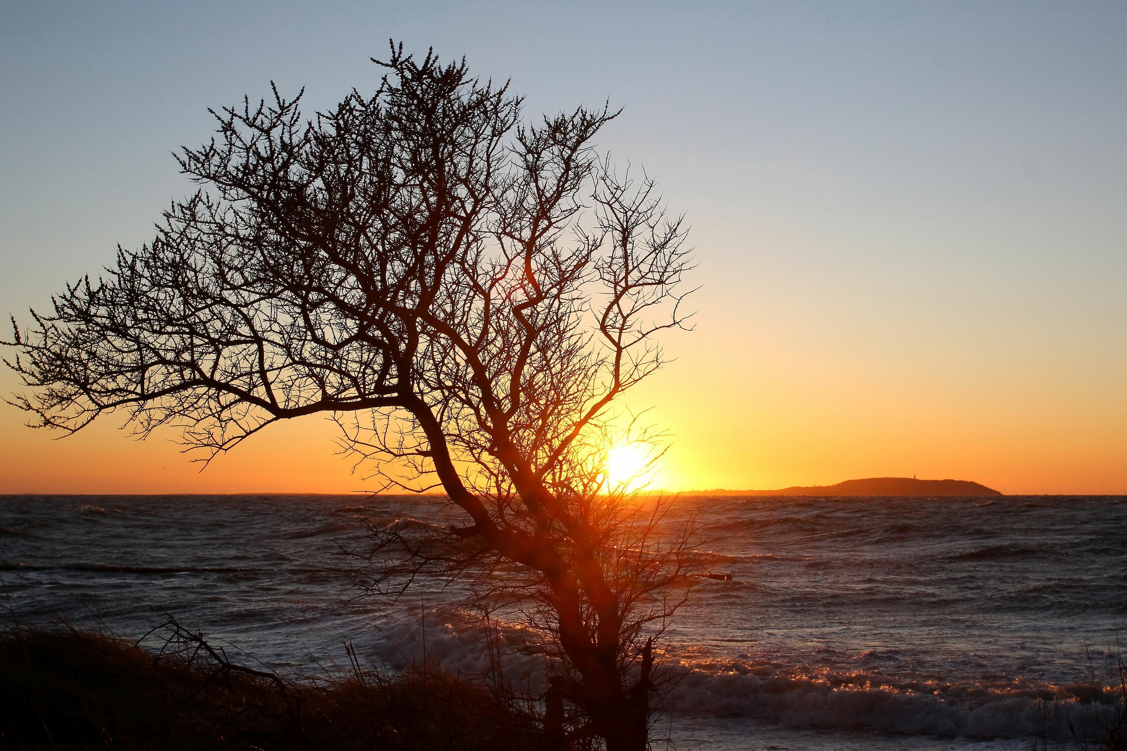 Bild mit Sonnenuntergang, Sonnenaufgang, Baum, Strand, Ostsee, Rügen, Norden, Stimmung, Abends, Windflüchter