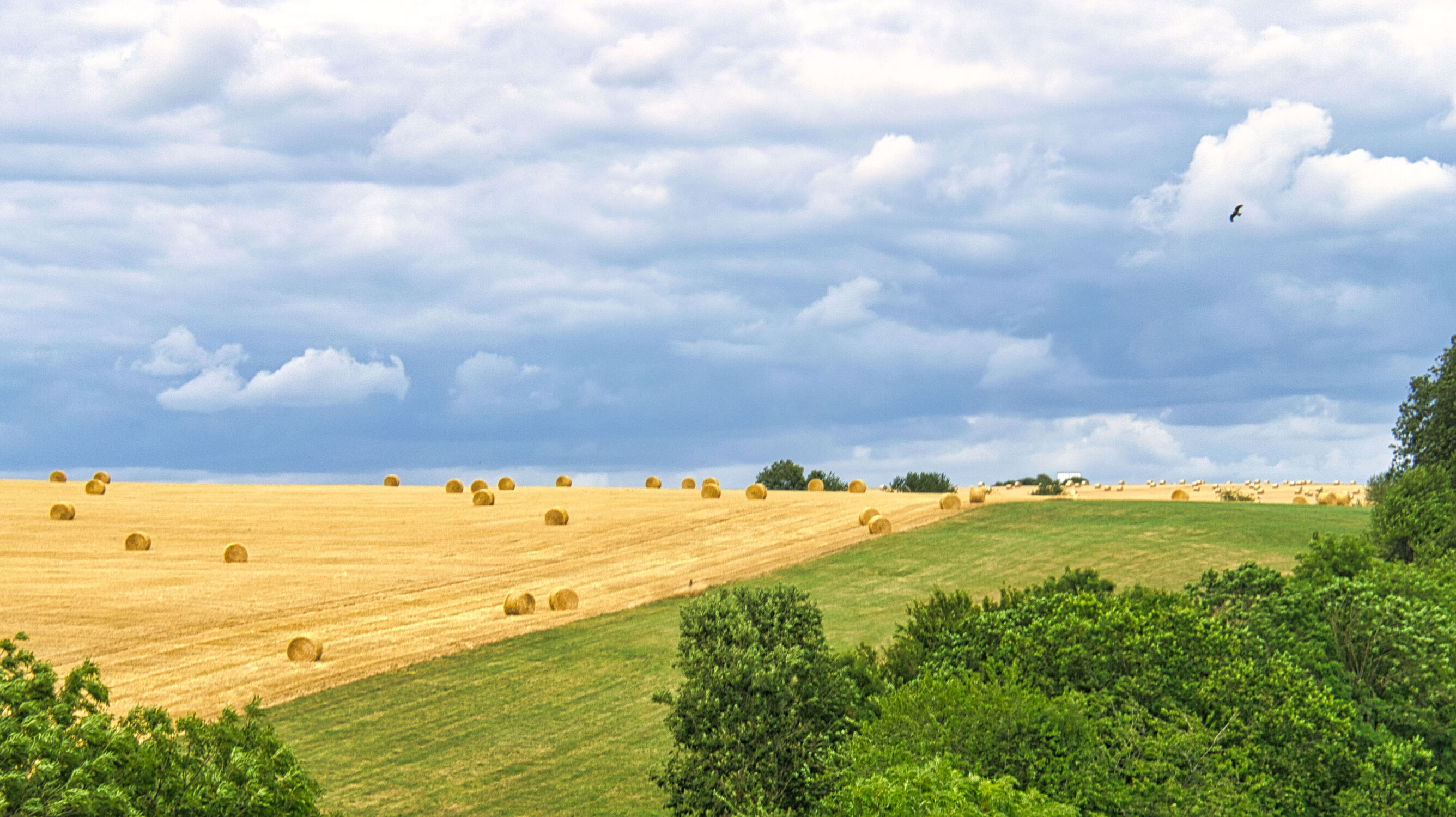 Bild mit Getreide, Stroh, Landschaft, Feld, Strohballen, landwirtschaft, Weizen, Spätsommer, getreidefeld
