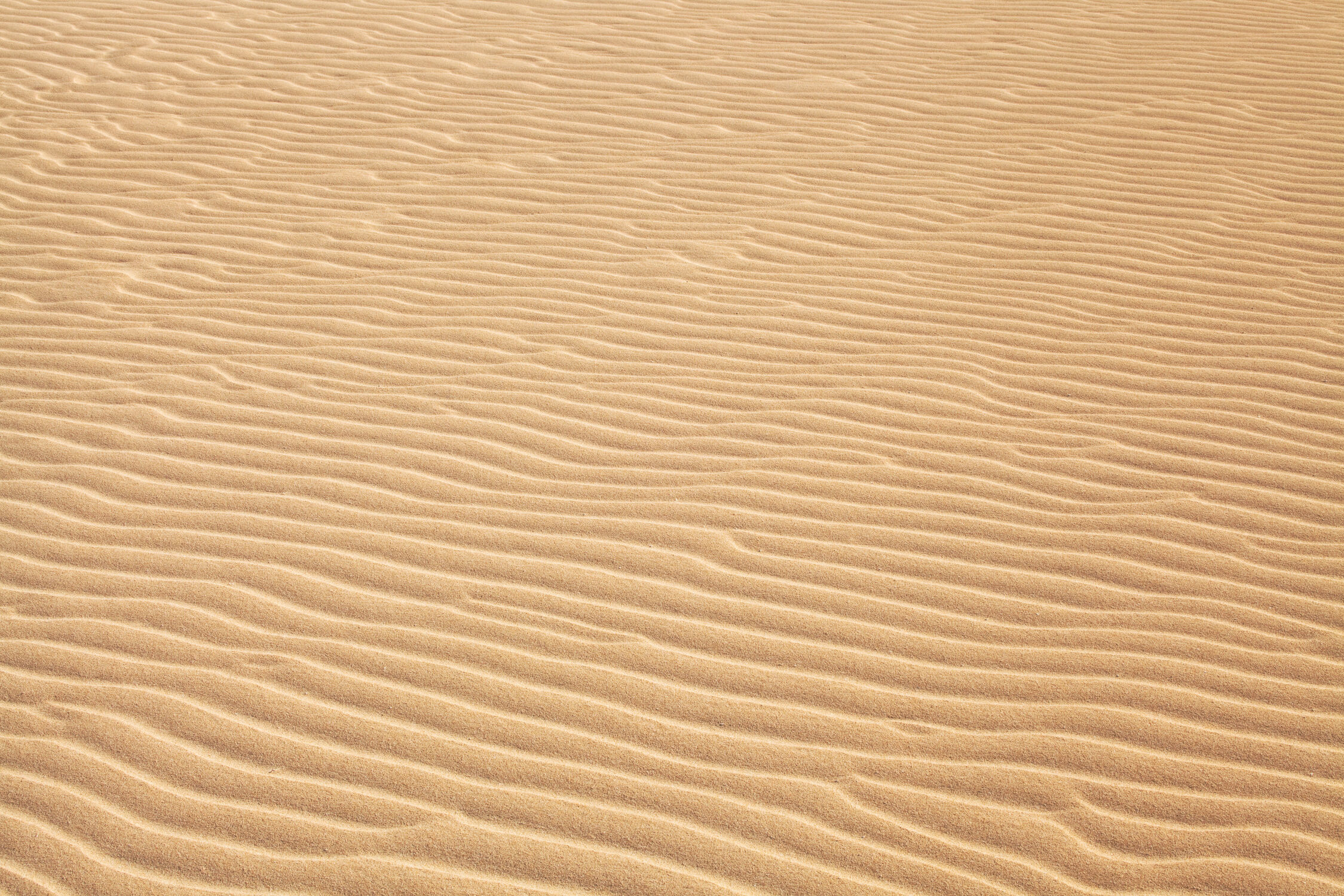 Bild mit Natur, Sand, Sommer, Strand, Dünen, Muster, Wüste, trocken, heiß