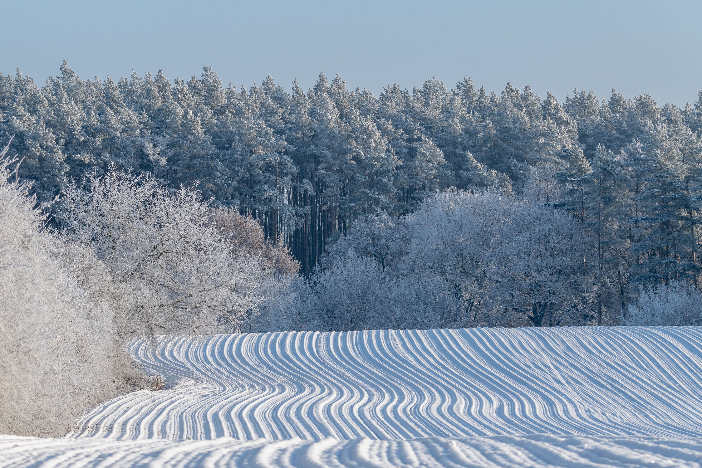 Bild mit Schnee, Wald, Landschaft, Feld, winterlandschaft, Landschaften im Winter, Winterstimmung