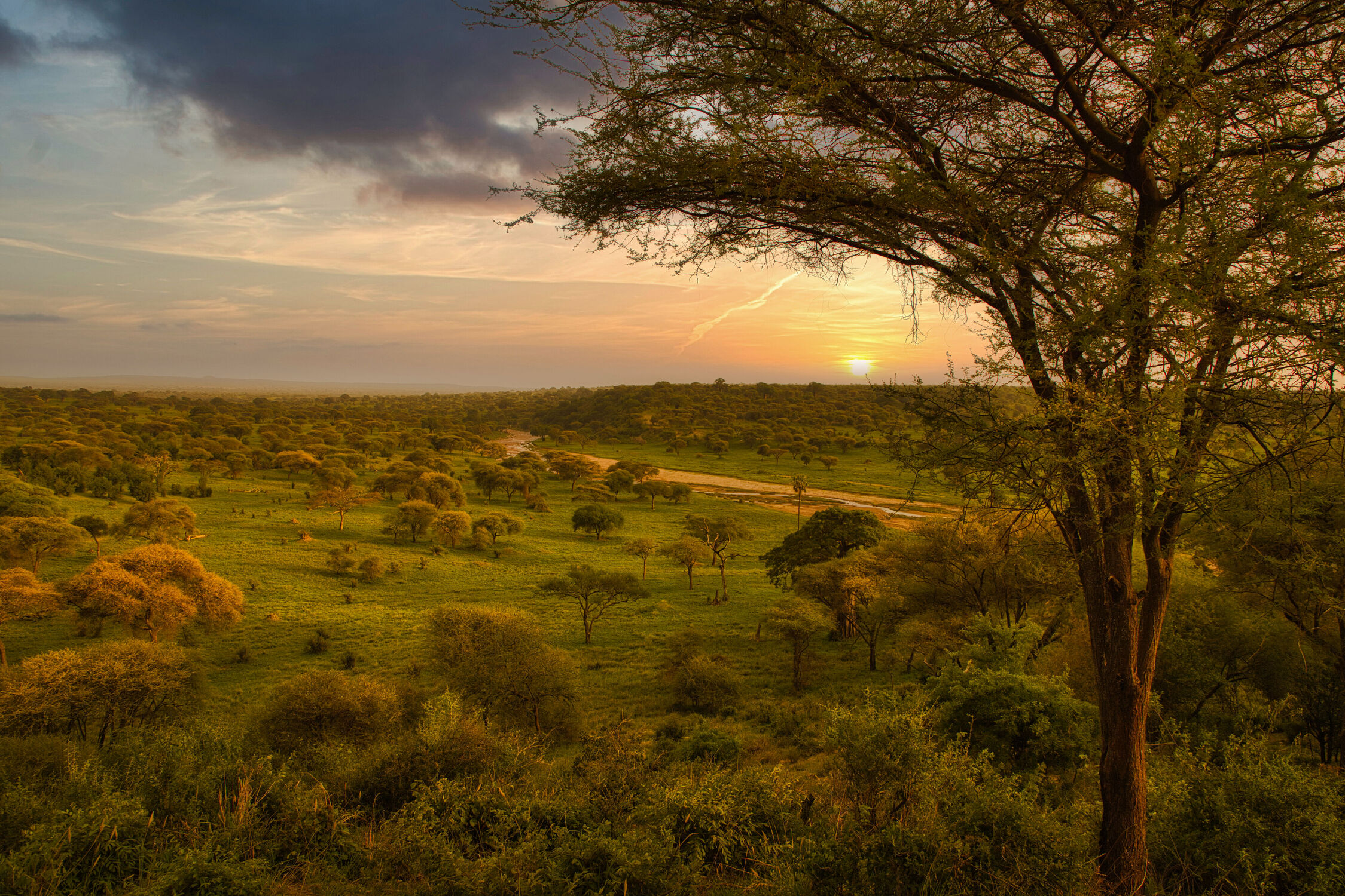 Bild mit Sonnenuntergang, Sonnenaufgang, Abendrot, Afrika, Abendlicht, Nationalpark, Tarangire Nationalpark