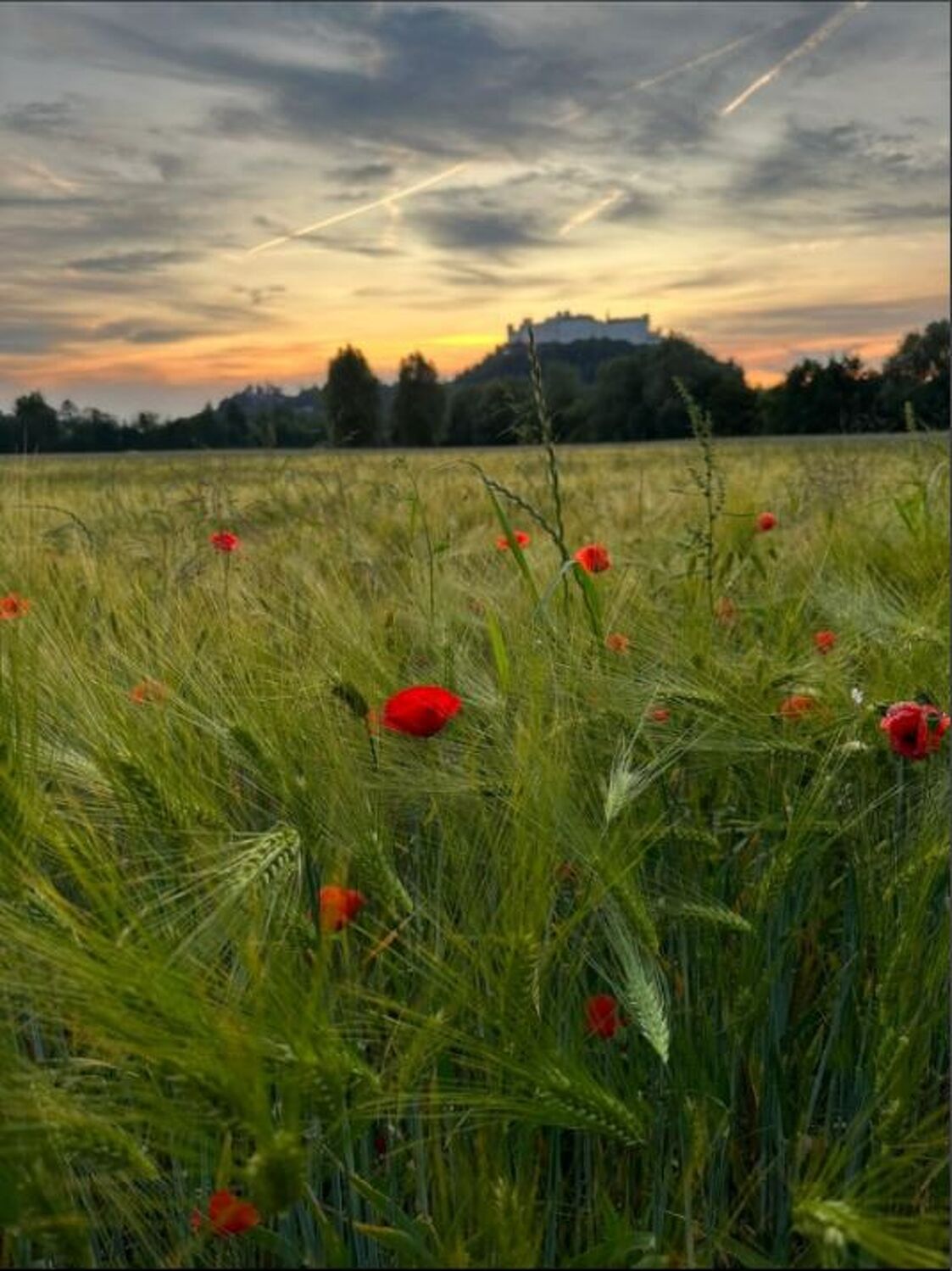 Bild mit Natur, Himmel, Sonnenuntergang, Abendstimmung, Salzburg