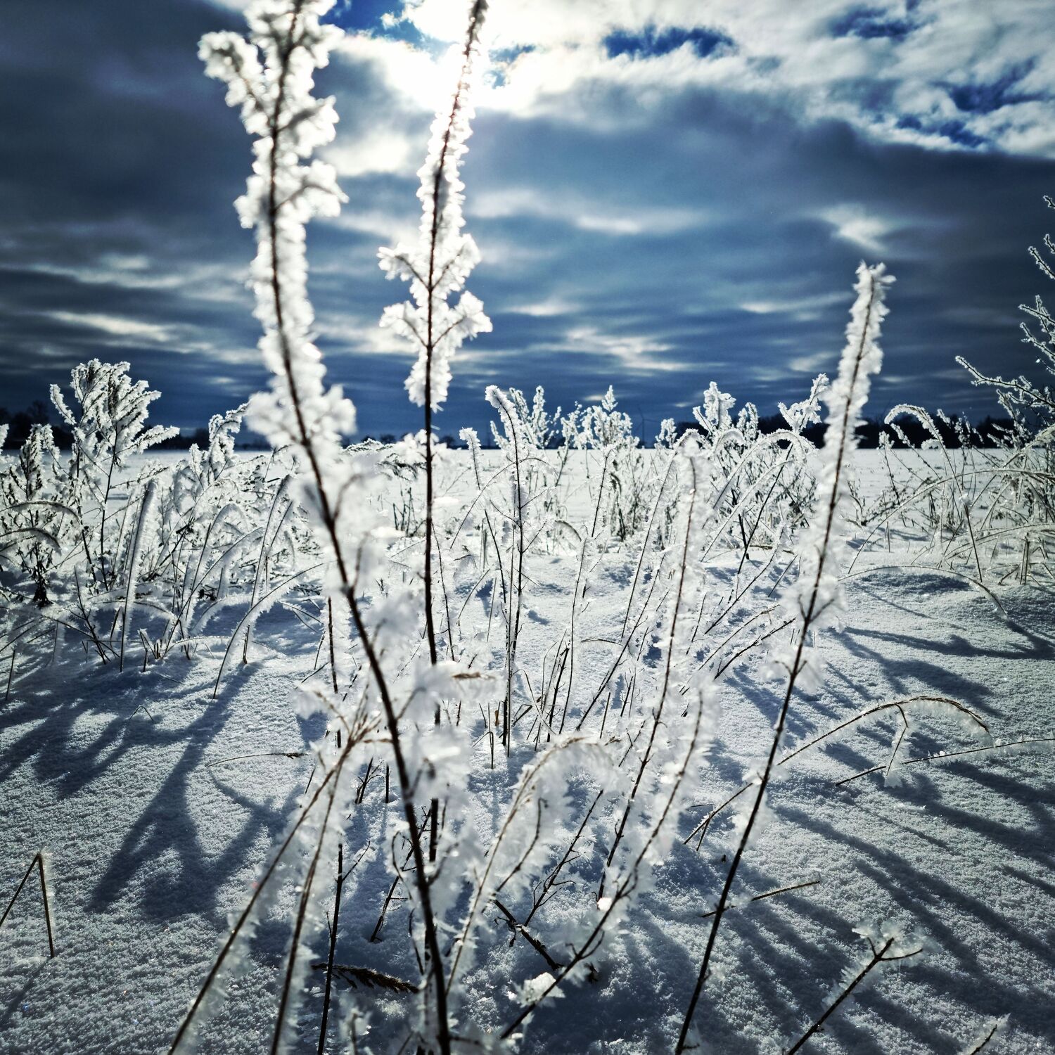 Bild mit Natur, Winter, Schnee, Eis, Sonne, Frostig