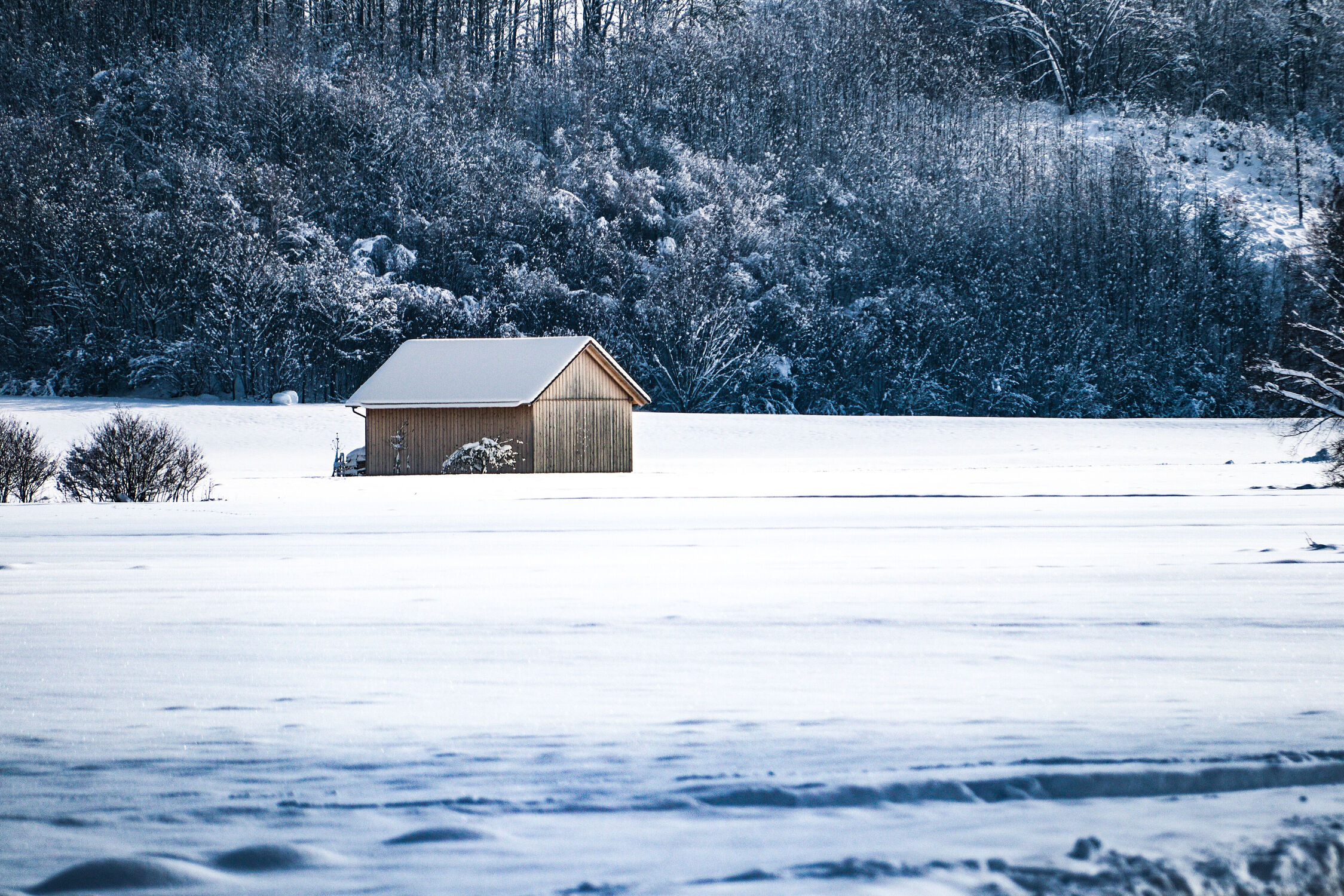 Bild mit Winter, Schnee, Wald, Haus, Landschaft, Hütte