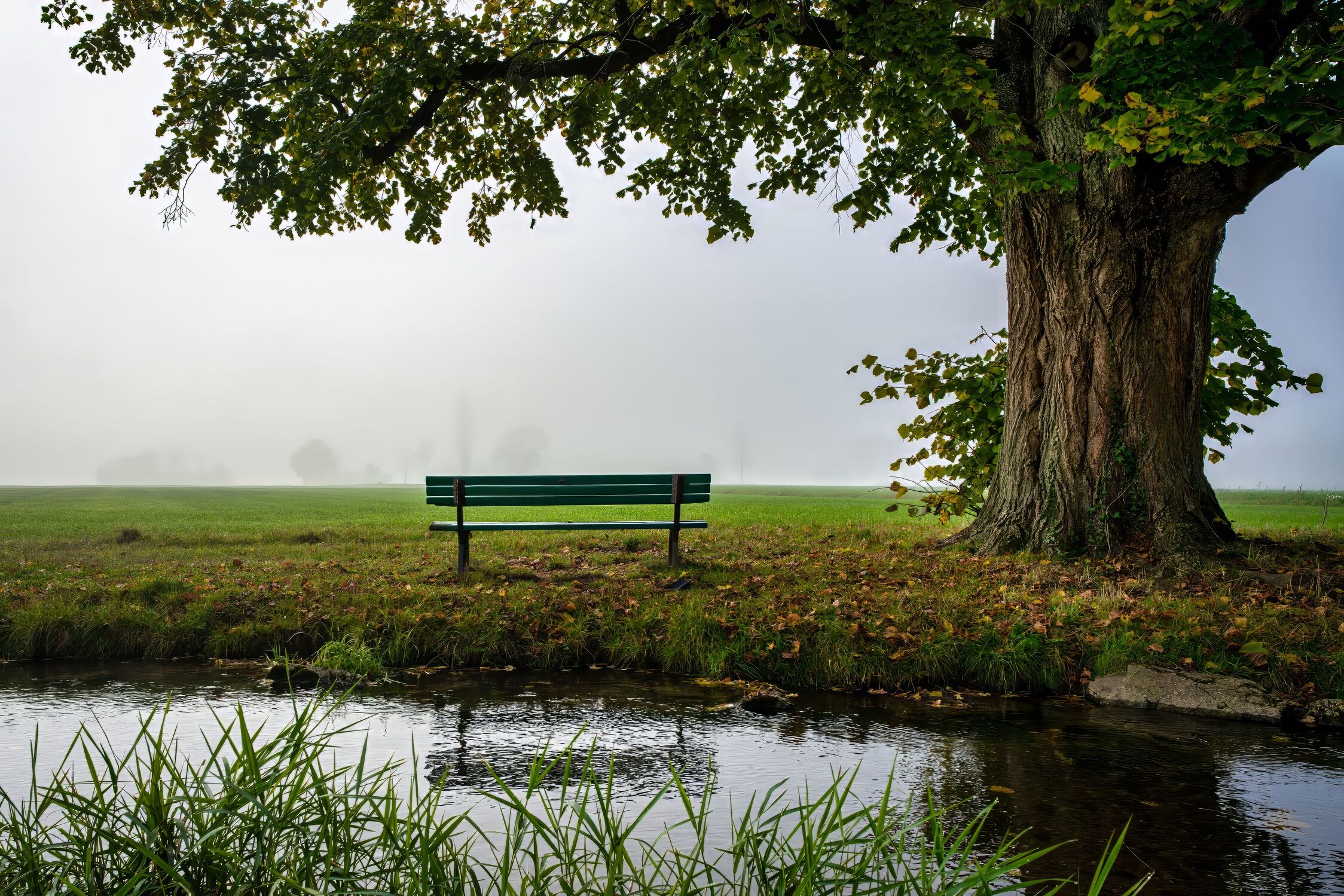 Bild mit Herbst, Nebel, Baum, Landschaft, Ruhe, Stille, Morgenstimmung, Besinnung