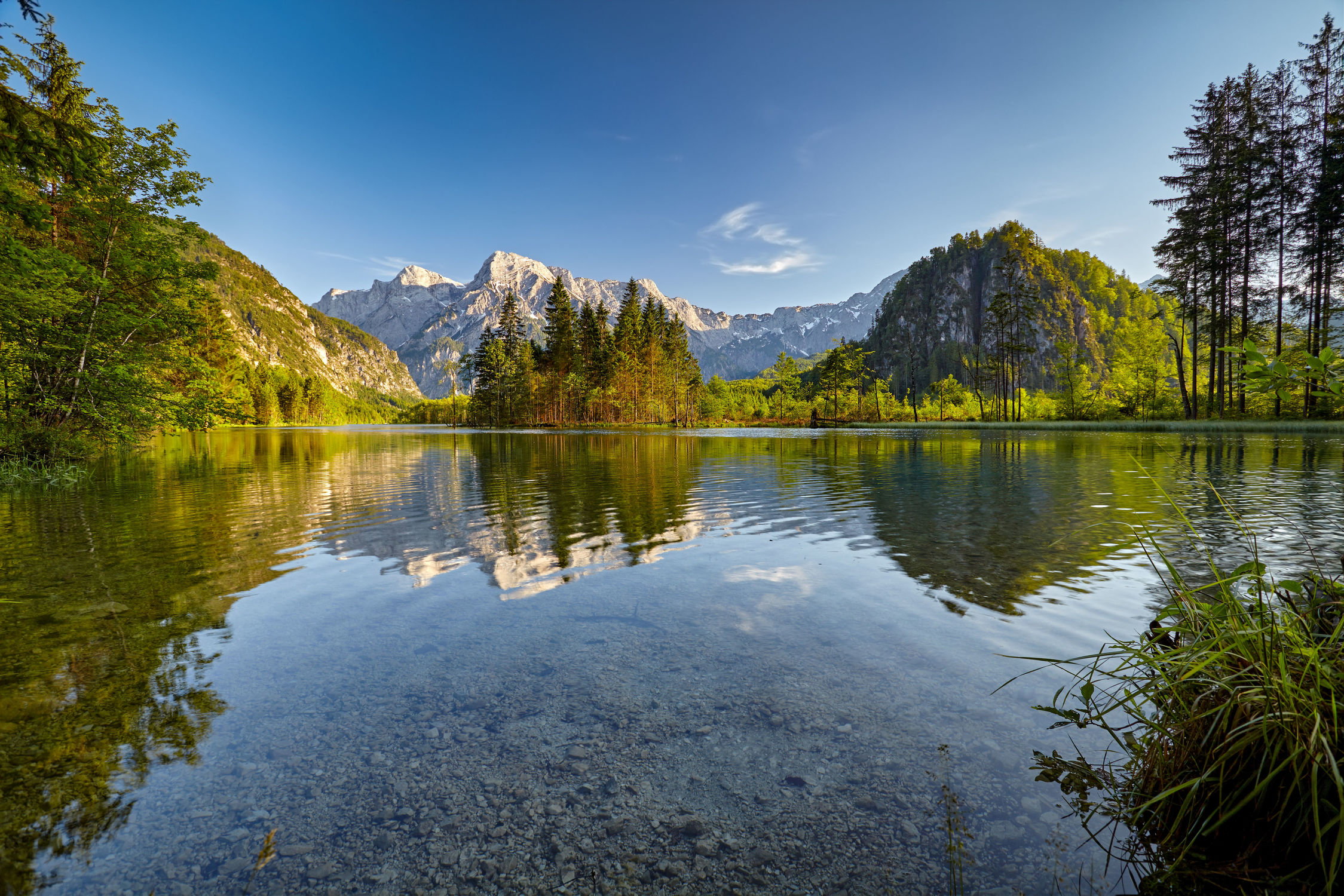 Bild mit Natur, Wasser, Berge, Urlaub, Österreich, Wald, Landschaft, Bergsee, See, Spiegelung, Reise, Wandern, Salzkammergut, Almtal, Almsee
