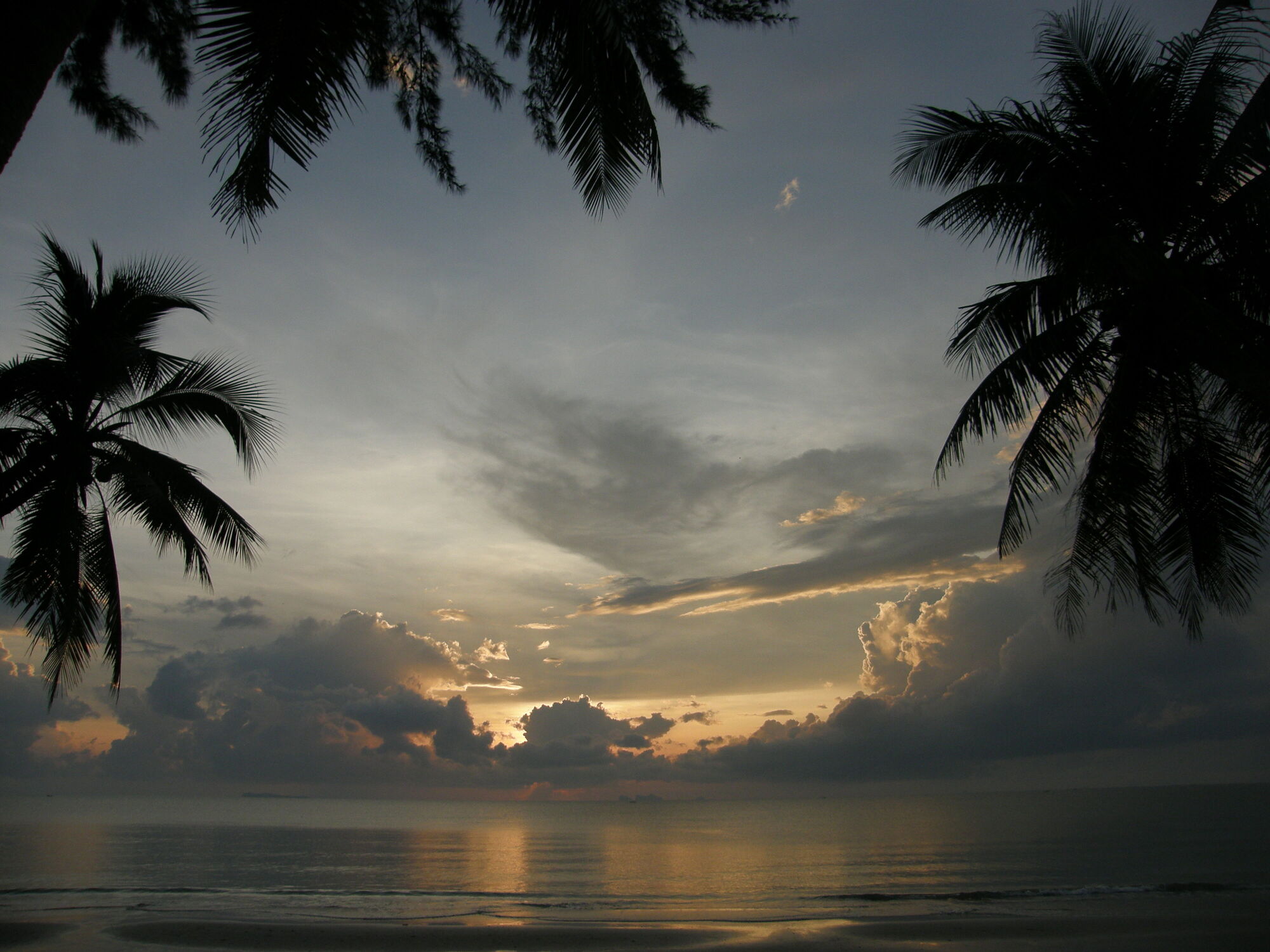 Bild mit Wolken, Sonnenuntergang, Meerblick, Palmenhain