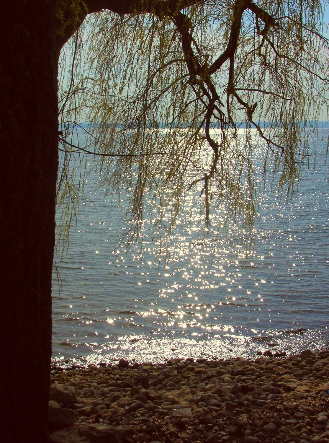 Bild mit Ruhe am See