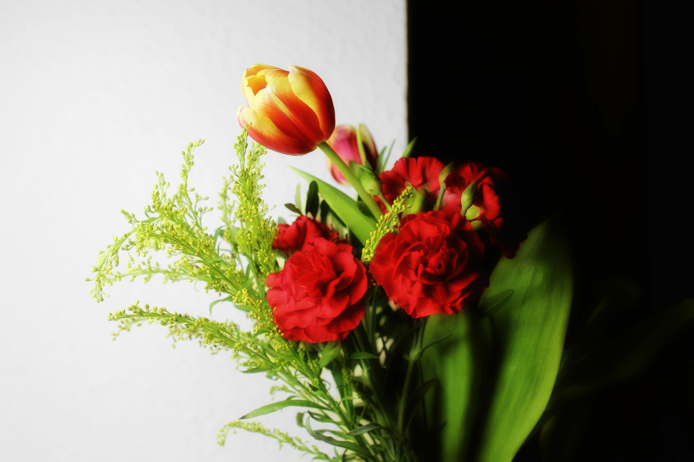 Bild mit Blumen & Pflanzen