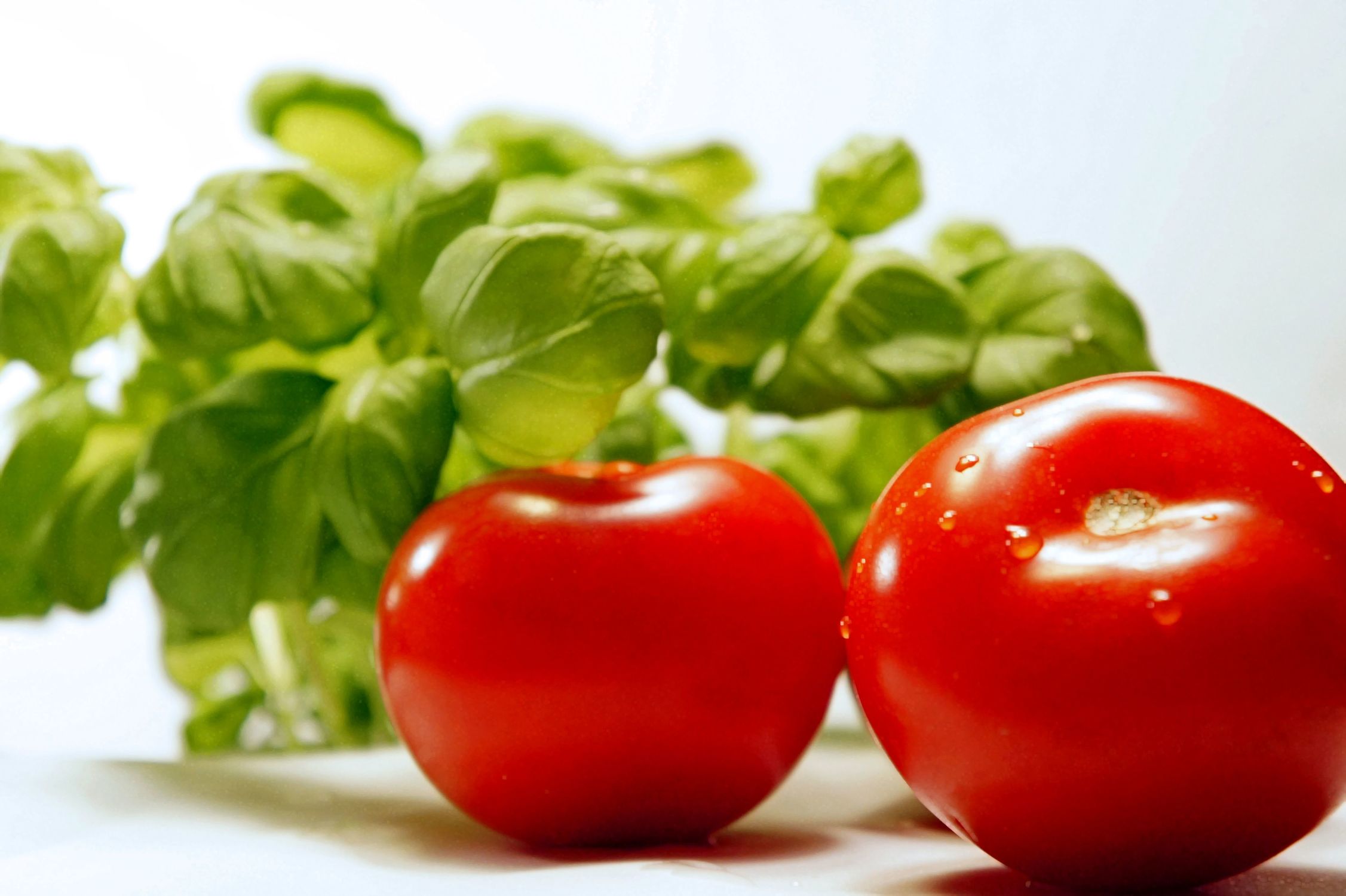 Bild mit Lebensmittel, Tomate, Tomate, Tomaten, Gemüse, Küchenbild, Küchenbilder, Küche, Kochbild, Basilikum