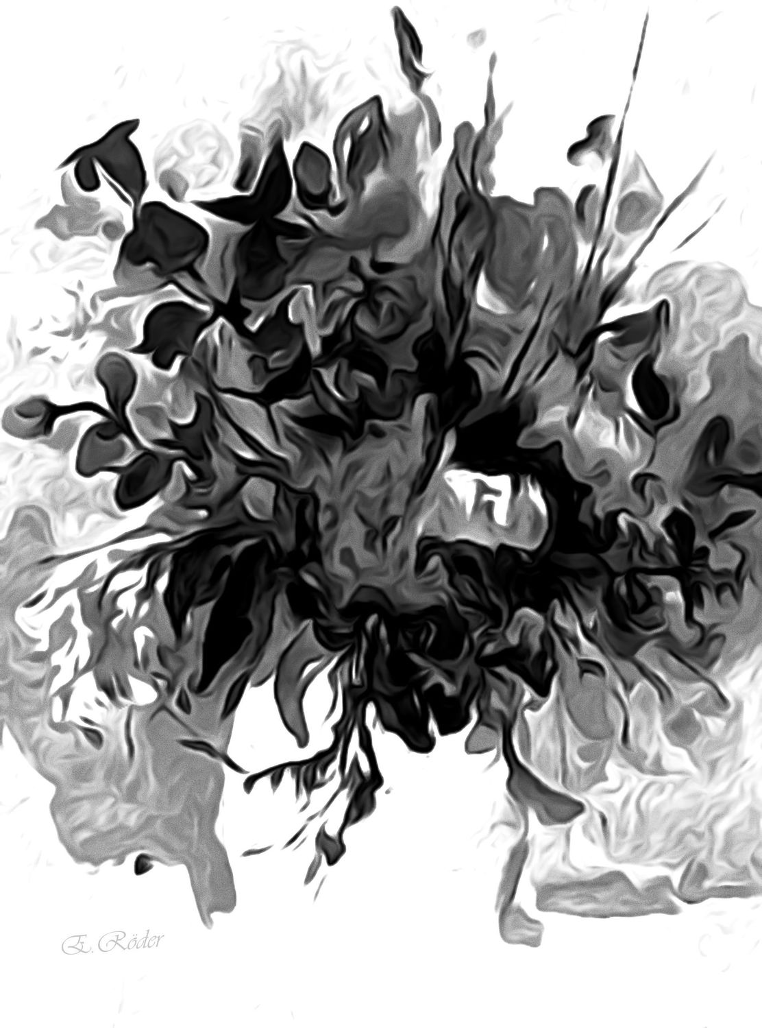 Bild mit Natur, Pflanzen, Blumen, Blume, Pflanze, Black and White, schwarz weiß, SW