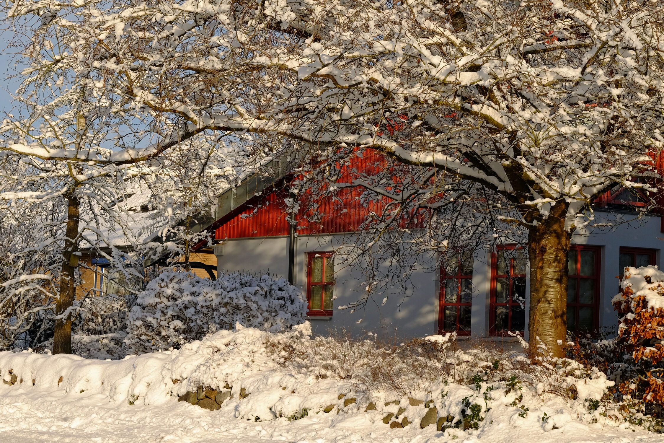 Bild mit Winter, Schnee, Sonne, Haus, Licht, Kälte, Ausspannen