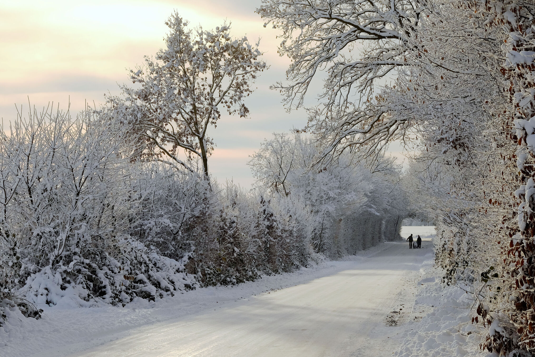 Bild mit Bäume, Winter, Schnee, Ausspannen