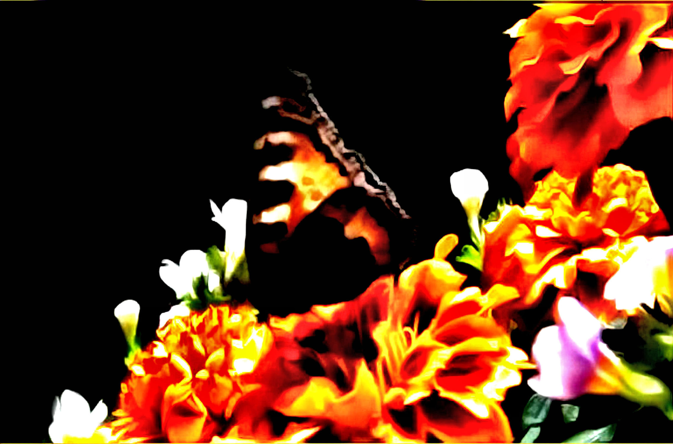 Bild mit Bunte Blumenpracht, Blütenzauber, Blumen im Makro, Schmetterling, Blumenmakro