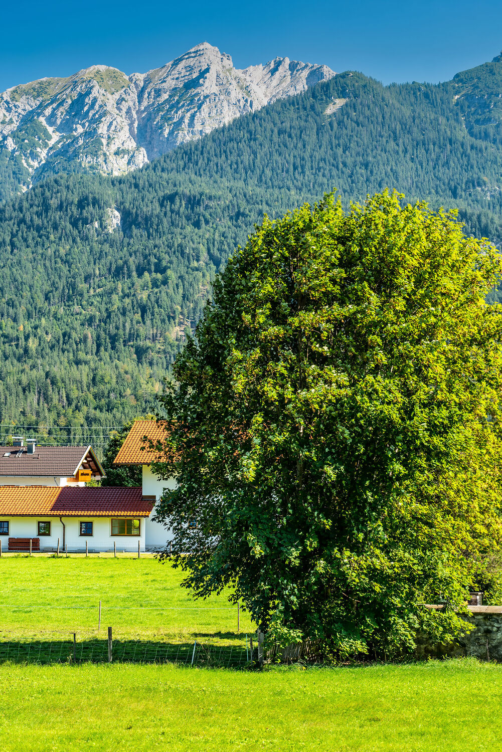 Bild mit Berge, Jahreszeiten, Sommer, Sonne, Landschaft, landwirtschaft, Tourismus, Bayern, bauernhof, Wallgau