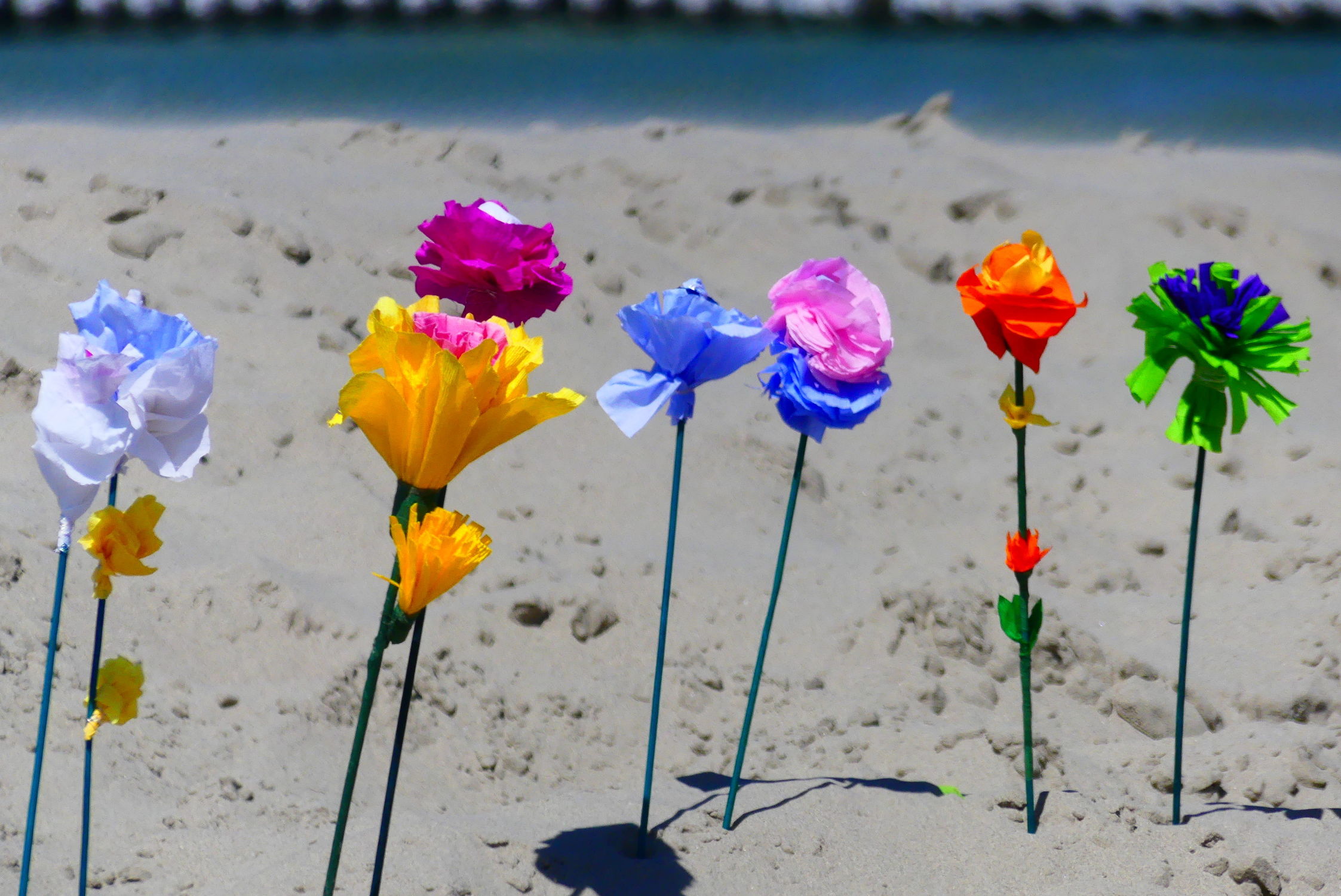 Bild mit Blumen, Sand, Strand, basteln