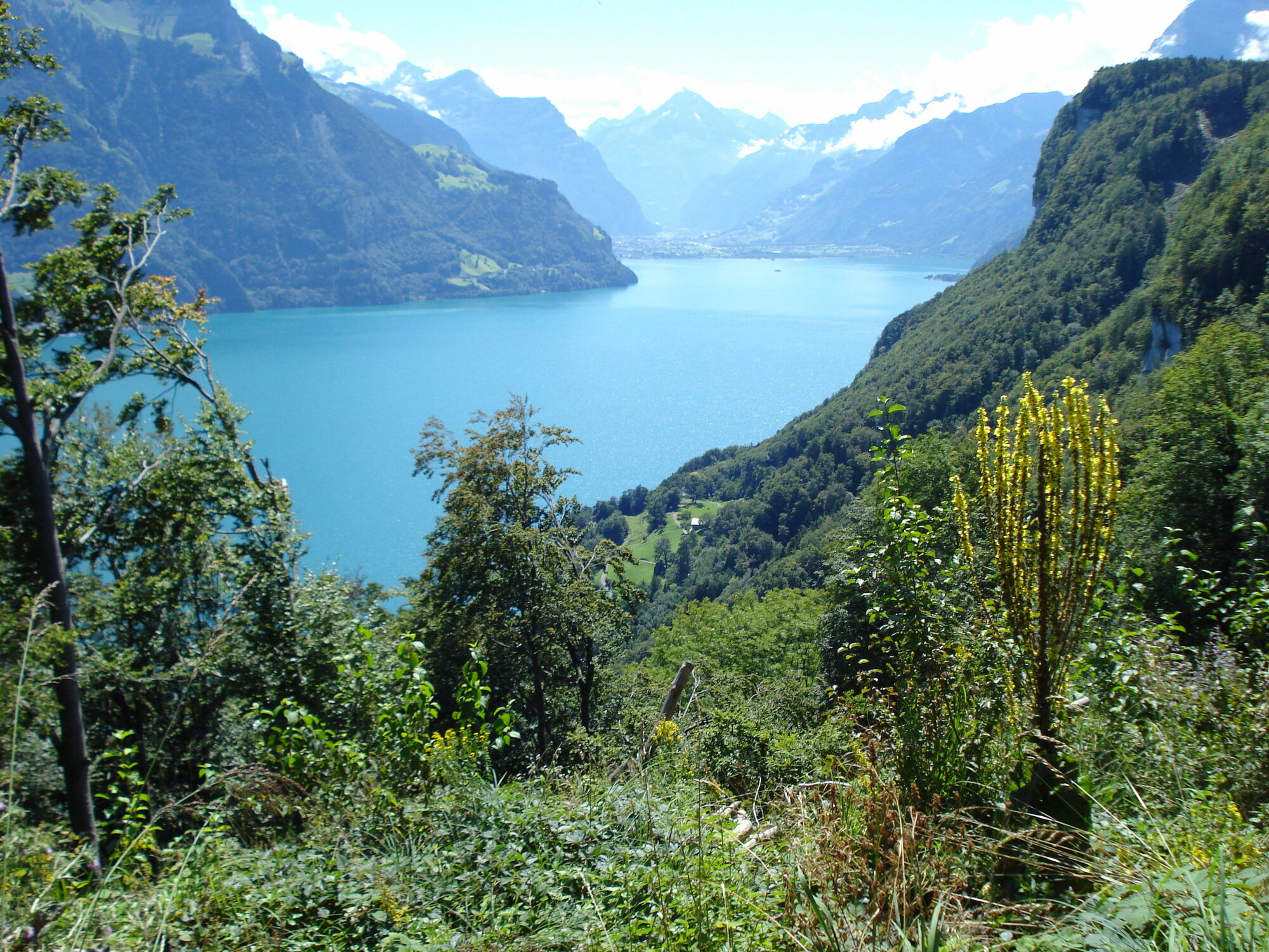 Bild mit Natur, See, Schweiz, Vierwaldstättersee