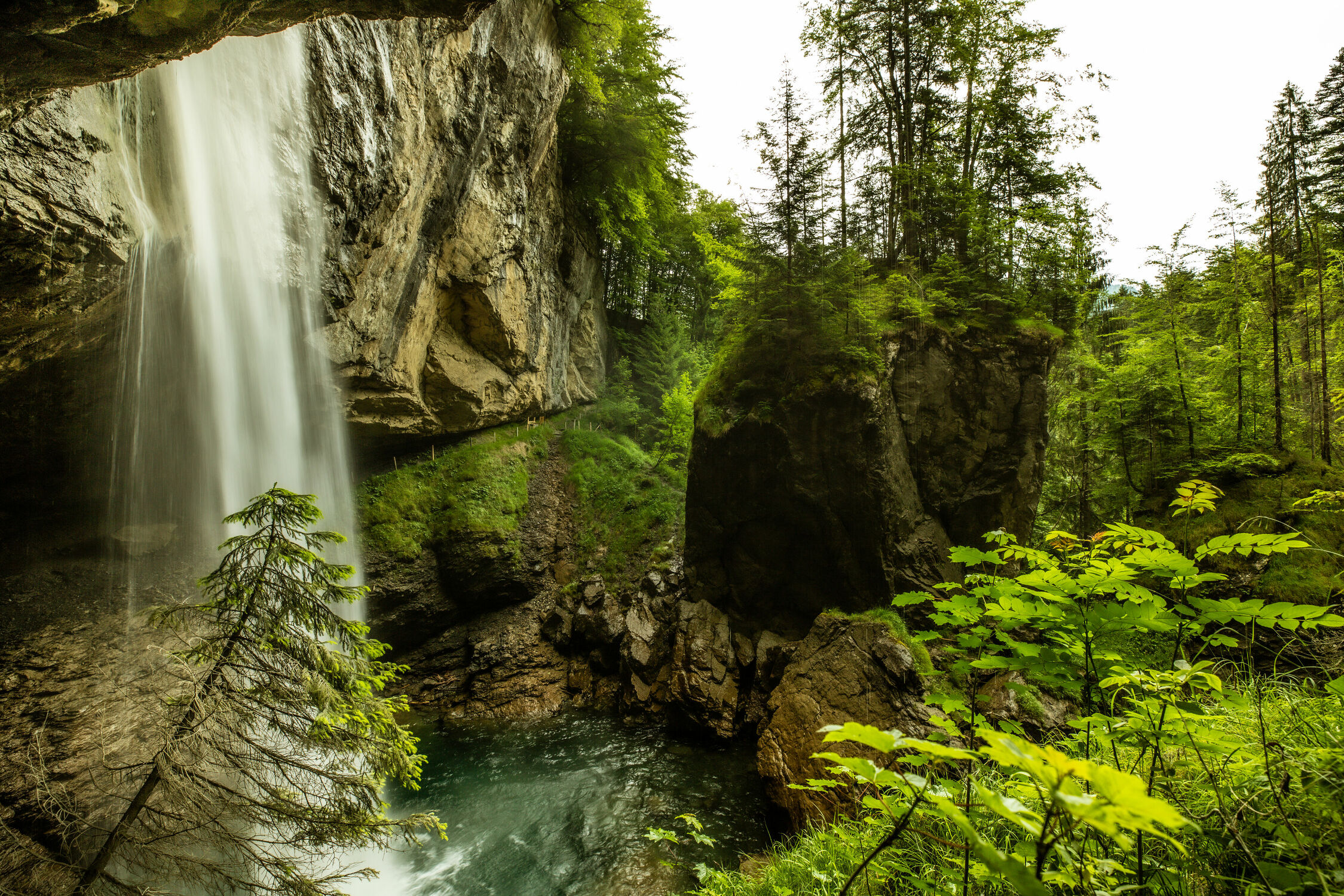 Bild mit Gewässer, Waldlichtung, Felswand, Wasserfall, Langzeitbelichtung, Tannenspitzen