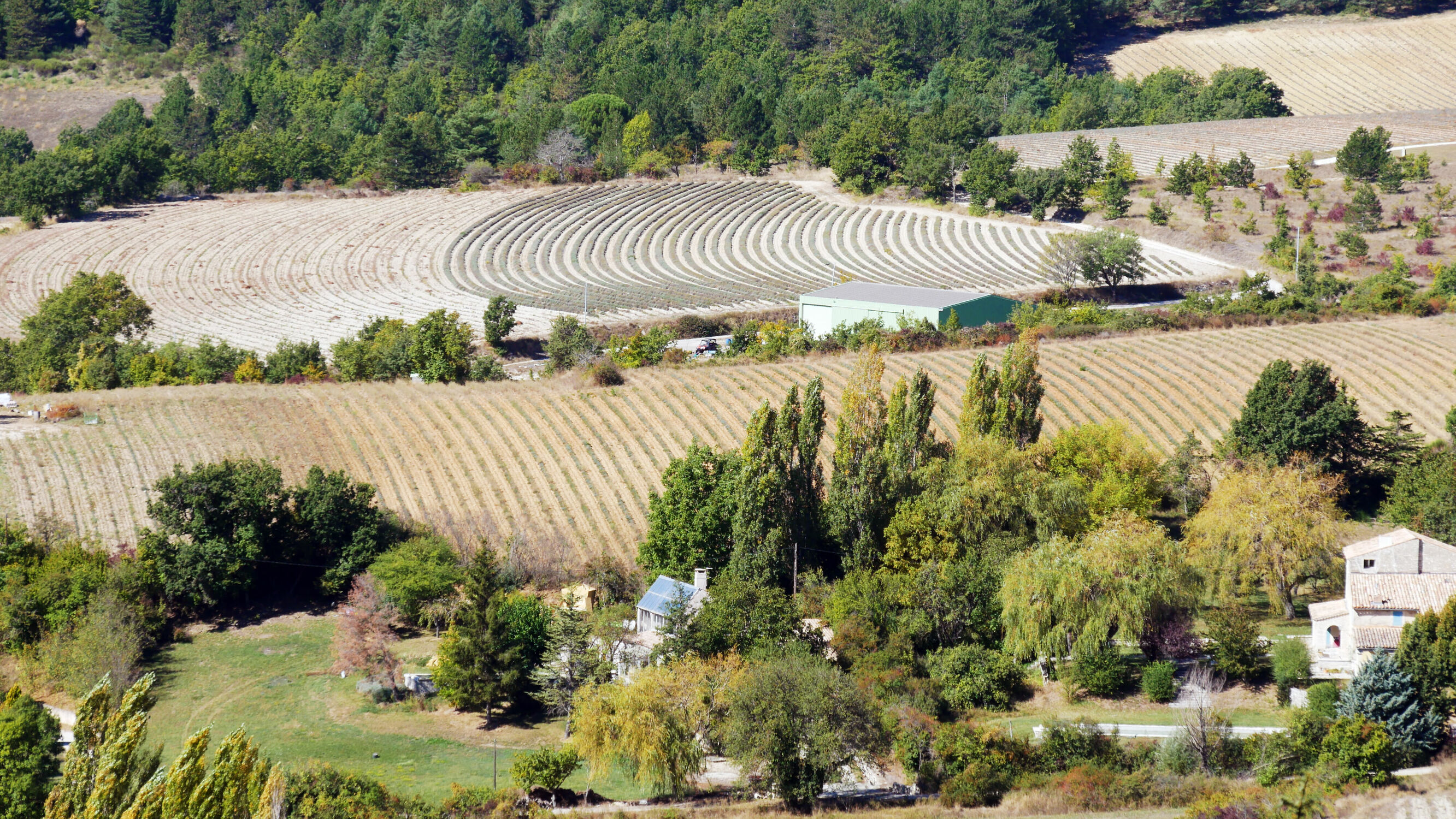 Bild mit Bäume, Herbst, Bauernhöfe, Frankreich, Panorama, Blick, Felder, dorf, Lavendelfeld