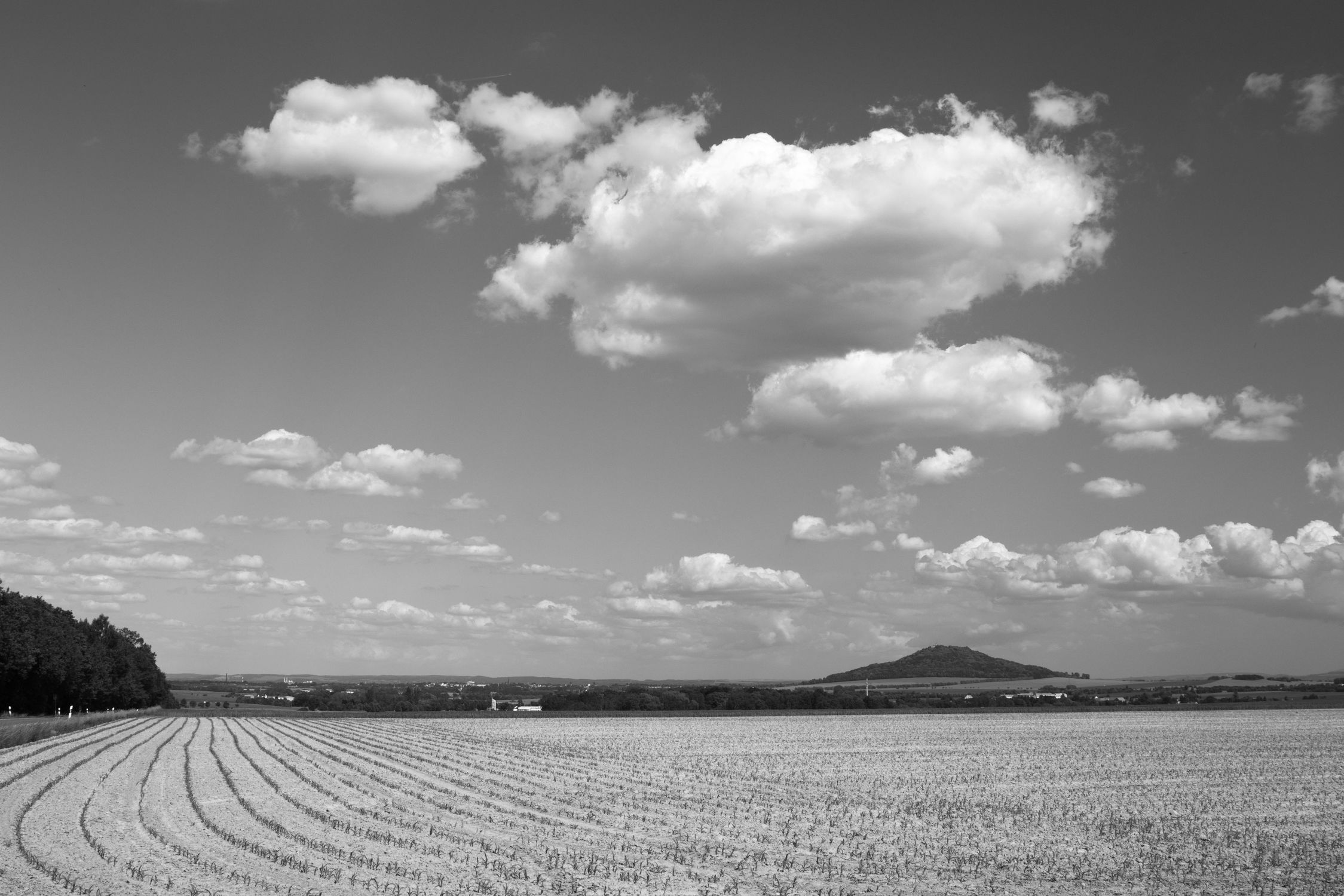 Bild mit Natur, Landschaften, Wolken, Görlitz, Feld, Landeskrone, Felder, berg, schwarz weiß