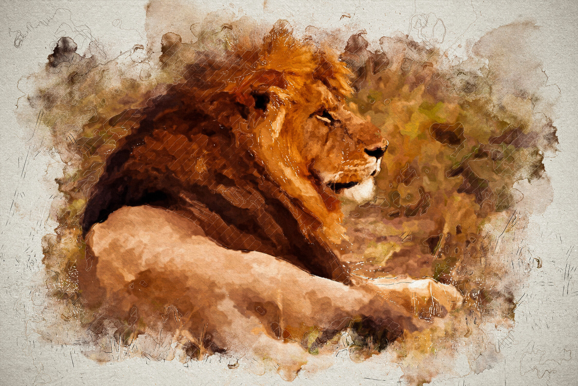 Bild mit Tier, Löwe, Afrika, safari, digital, Painting