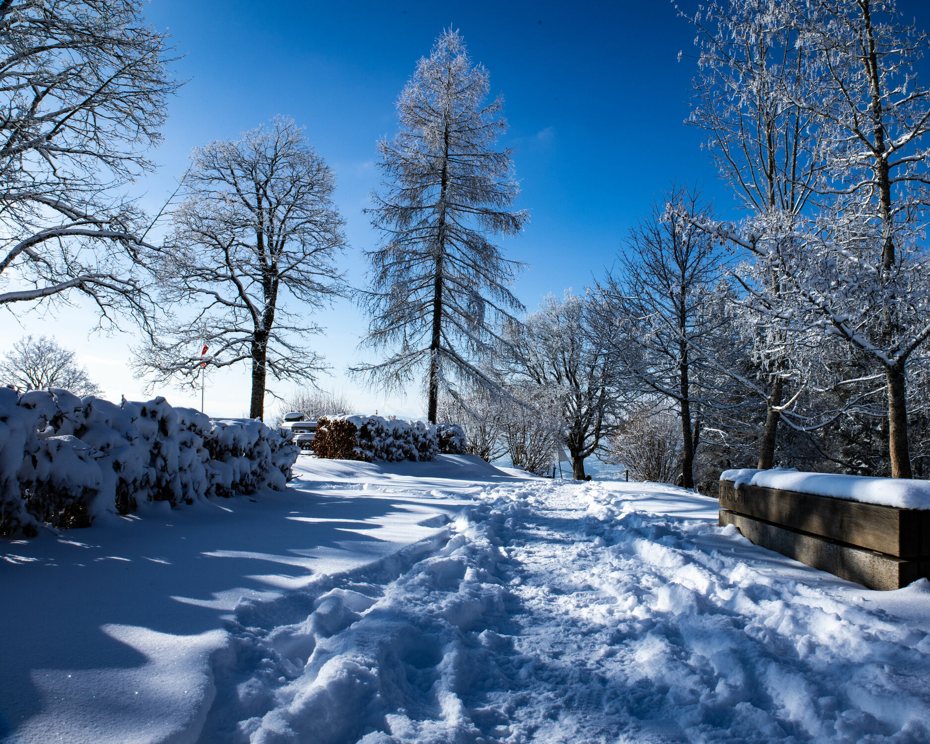 Bild mit Bäume, Winter, Schnee, winterlandschaft, Winterlandschaften
