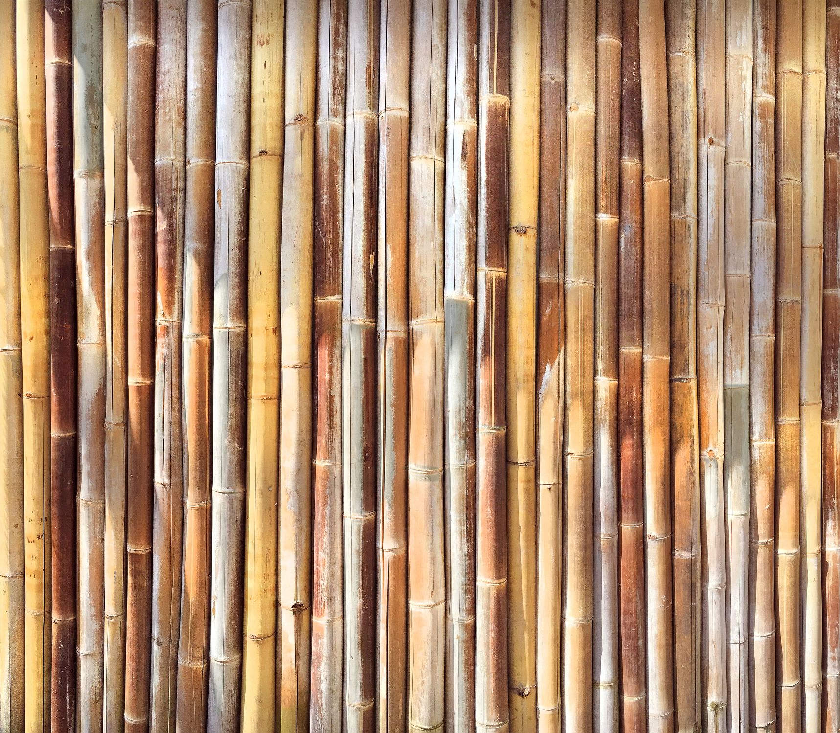 Bild mit Gegenstände, Materialien, Holz, Bambus, bamboo, Bambusmatte, bambusstruktur, Struktur