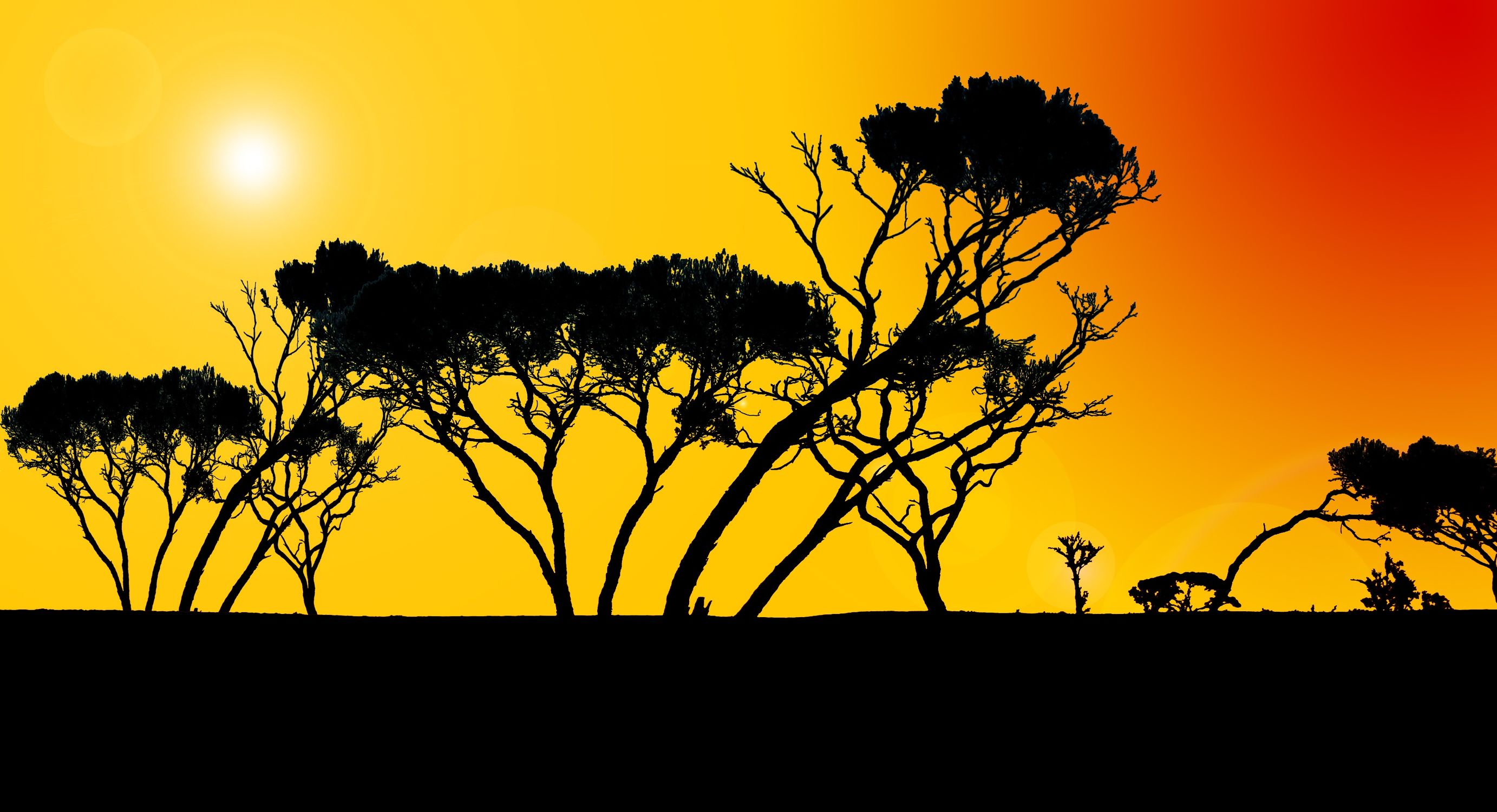 Bild mit Afrika, Illustrationen, Illustration Baum, Baummotiv, african Style