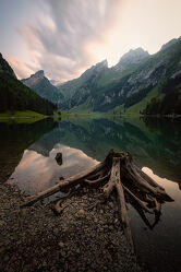 Bild mit Natur, Berge, Seen, Alpen, Baumstamm, Landschaft, Bergsee, Bergsee, schweizer alpen, Seealpsee