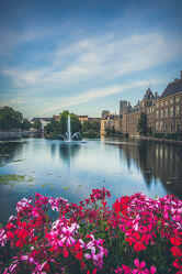 Bild mit Blumen, Wolkenblick, historische Altstadt, Wasserfall, Wasserblick, Stadtansichten, Abendstimmung, Abendhimmel, Abendhimmel, Den Haag