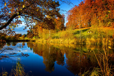 Bild mit Farben, Natur, Bäume, Gewässer, Herbst, Landschaft, Spiegelung, Spiegelungen, Wasserspiegelung, Weiher