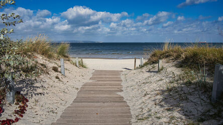 Bild mit Gräser, Strand, Sandstrand, Meerblick, Ostsee, Meer, Wolkenhimmel, Dünen, Holzweg, Badeurlaub