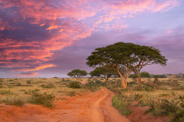 Bild mit Natur, Landschaften, Nationalparks, Sonnenuntergang, Reisen, Naturlandschaften, Afrika, Abendstimmung, safari, Uganda