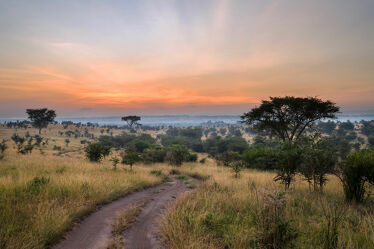 Ishasha Nationalpark, Uganda