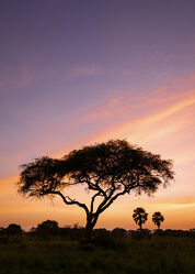 Morgenstimmung, Uganda