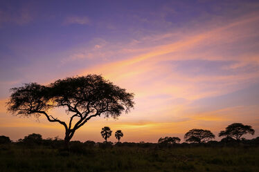 Bild mit Natur, Landschaften, Nationalparks, Sonnenuntergang, Sonnenaufgang, Reisen, Naturlandschaften, Afrika, Morgenstimmung, Uganda