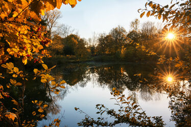 Teich mit Sonnenstern im Herbst