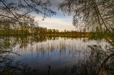 Lausitzer Teichlandschaft im Frühling