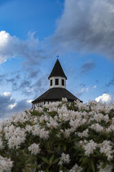 Kirchturmspitze hinter Blüten