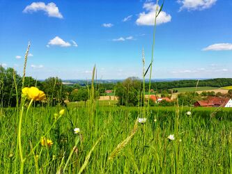 Bild mit Natur, Gräser, Gras, Wiese, Wiesengras, Blauer Himmel, grüne Wiese, Teutoburgerwald, Bilderbuch, Liegewiesen