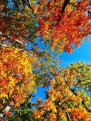 Farbenfrohe Herbstzeit