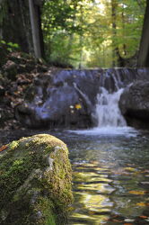 Bild mit Wasser, Reflexion, Stein, Wald, Wasserfall, Fluss
